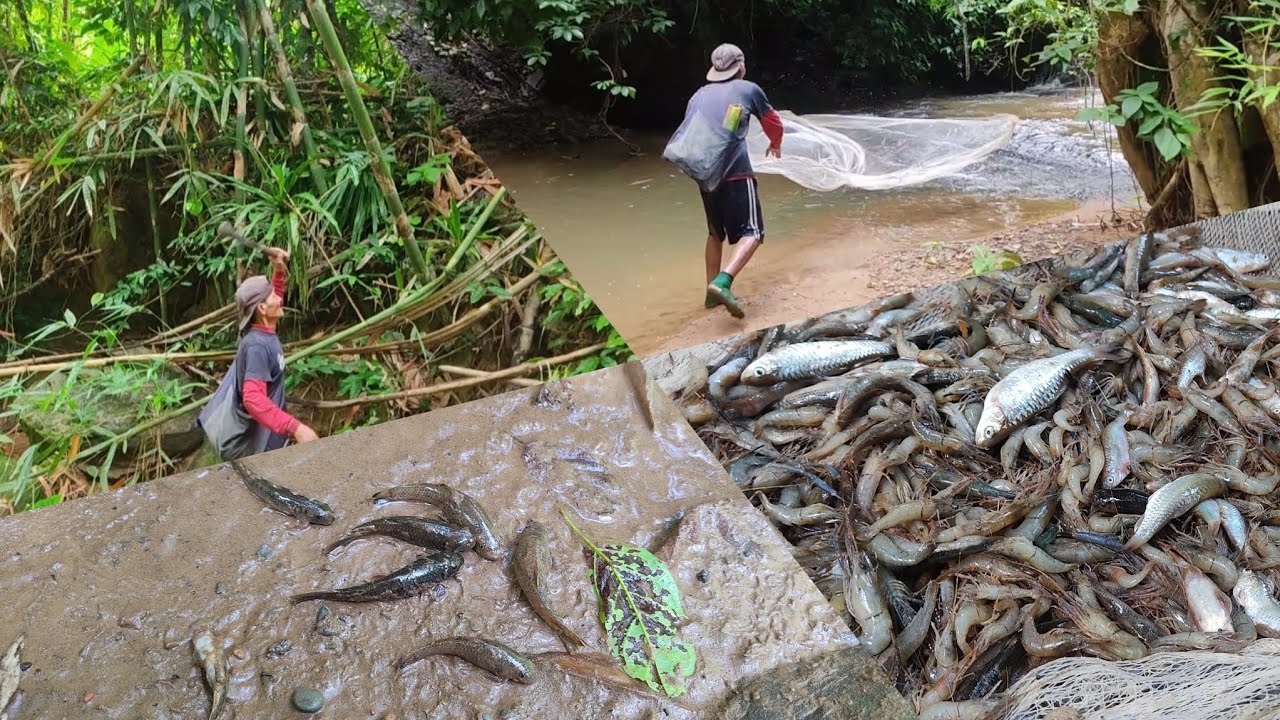 Tuntrum Kan Len Den Na Hmun Zet Chu Lehh YouTube tuntrum-kan-len-den-na-hmun-zet-chu-lehh-youtube