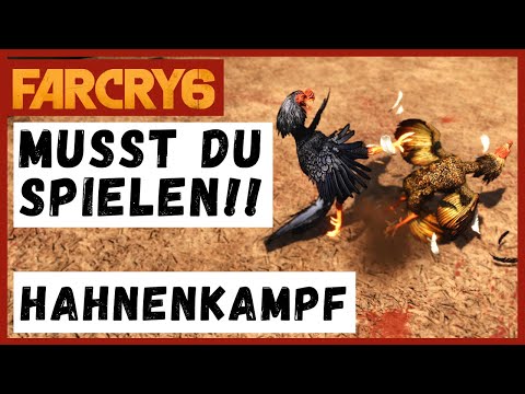 Video: Warum ist Hahnenkampf so eine Sache?