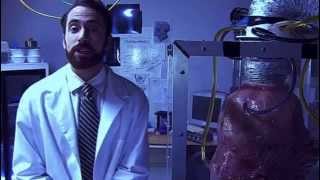 Чужая кровь / Strange Blood (2015) Чужая кровь / Strange Blood (2015)