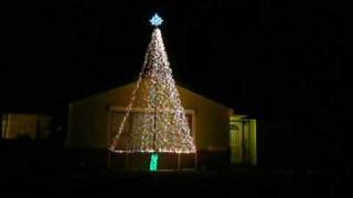 Mega tree test 2009