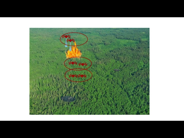 Mit Drohnen Waldbrände bekämpfen