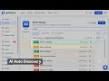No Manual only automated API testing apilabs.ai