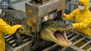 Inside the Massive Crocodile Leather Factory | Full Manufacturing Process