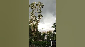 মানুষের নাম যাই হোক তা নিয়ে হাসি ঠাট্টা করার কোন অধিকার আপনার নেই#no#fun#for#name#any#body#shorts