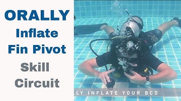 Neutral Buoyancy Orally Inflate (Fin Pivot ) PADI Divemaster & IDC Skill Circuit