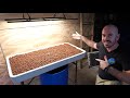 DIY Flood and Drain Table: Set Up, Grow and Timelapse