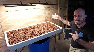 DIY Flood and Drain Table: Set Up, Grow and Timelapse