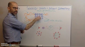 Solubility and Solute Solvent Interactions
