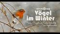 Video result for #vögelimwinter