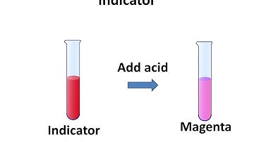 Science - What Are Acid-Base Indicators - English
