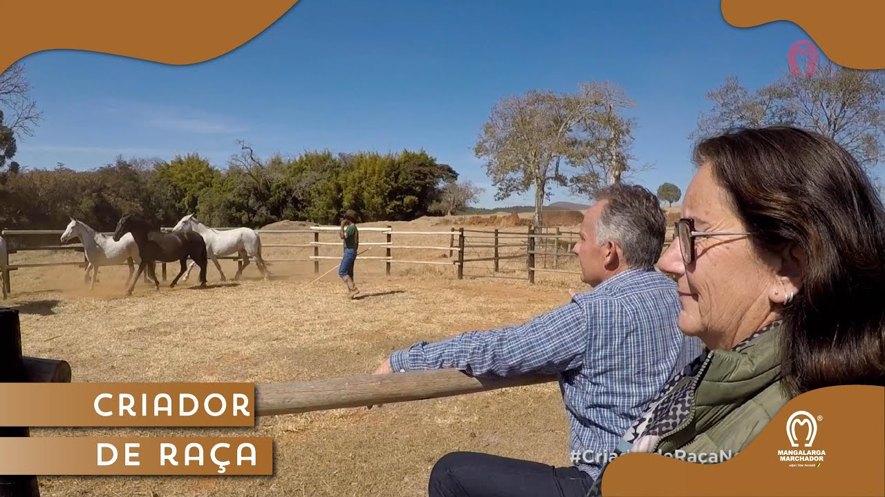 CRIADOR DE RAÇA HARAS DO PORTO - YouTube