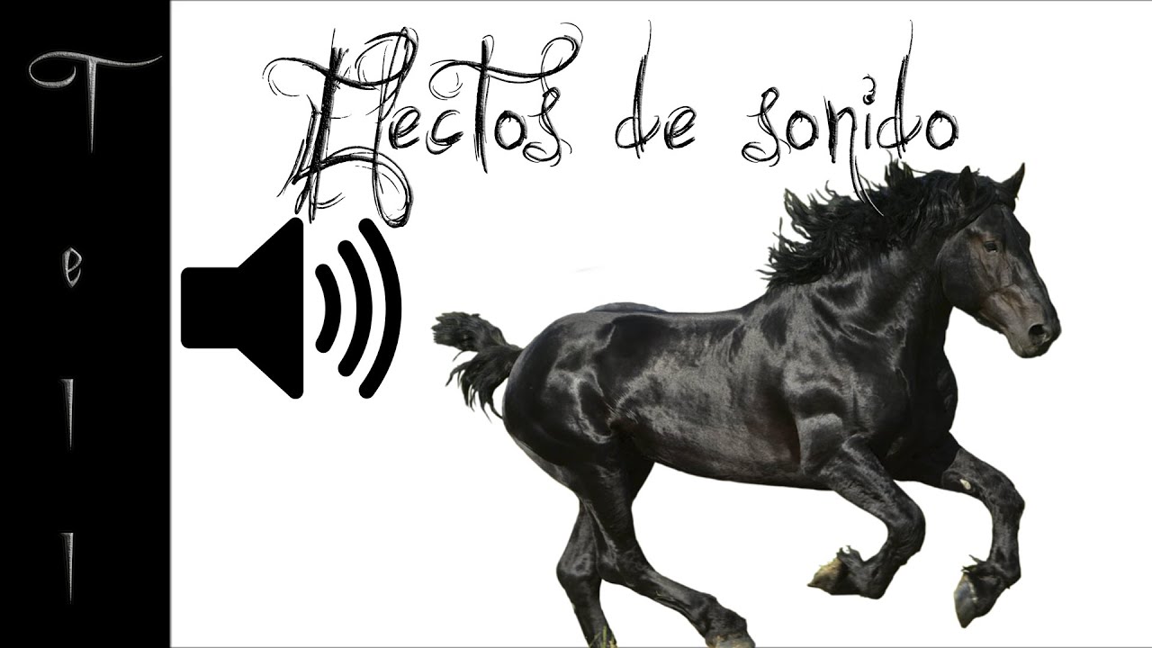 Caballo Efecto De Sonido YouTube caballo-efecto-de-sonido-youtube