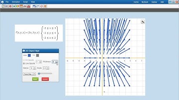 Vector Field