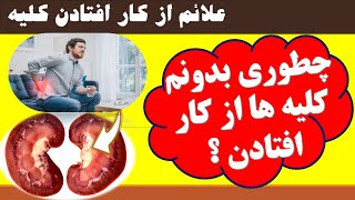 Kidney failure symptomsعلائم قبل ازآسیب کلیه چیه از کجا می دانید کلیه های شما دارند از کار میبافتند؟ screenshot 4