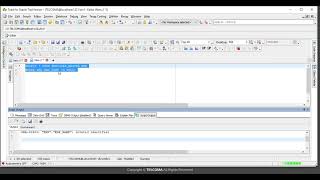 9 PLSQL Literals