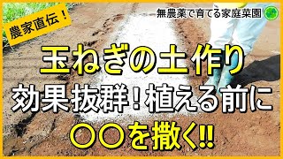 Onion cultivation] Soil preparation is key! Sprinkle this to make