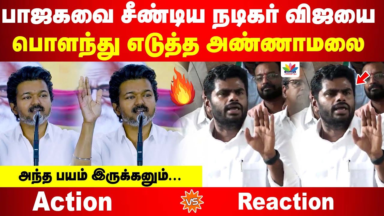 பாஜகவை சீண்டிய நடிகர் விஜயை பொளந்து எடுத்த அண்ணாமலை  | நேரடியாக அண்ணாமலை பதிலடி