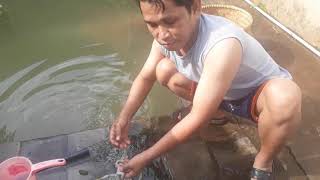 An easy way to clean goat intestines so they can be consumed