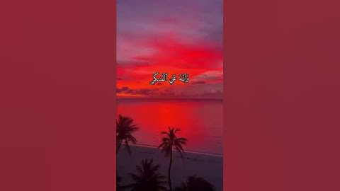 #قران_كريم #تلاوة_هادئة #القارئ #اسلام_صبحي #ترند #اكسبلور #بدون_حقوق #فضلا_لايك_و_إشتراك