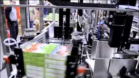 Massman Automation Side Load Case Packer for Cartons.mov