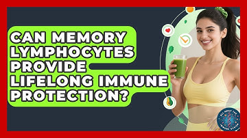 Can Memory Lymphocytes Provide Lifelong Immune Protection? - All About the Immune System