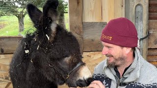 9 Weeks In… Can His Life-Saving Shoes Help Him Walk?