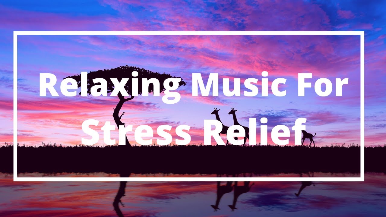 Relaxing Music For Stress Relief 1 Hour Bamboo Flute Music Healing