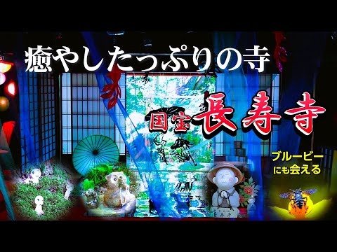 【長寿寺】～ブルービーに会えるお寺#長寿寺