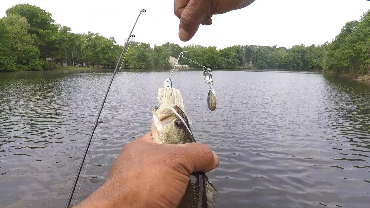 consejo de pesca como pescar con spinner bait y señuelo de