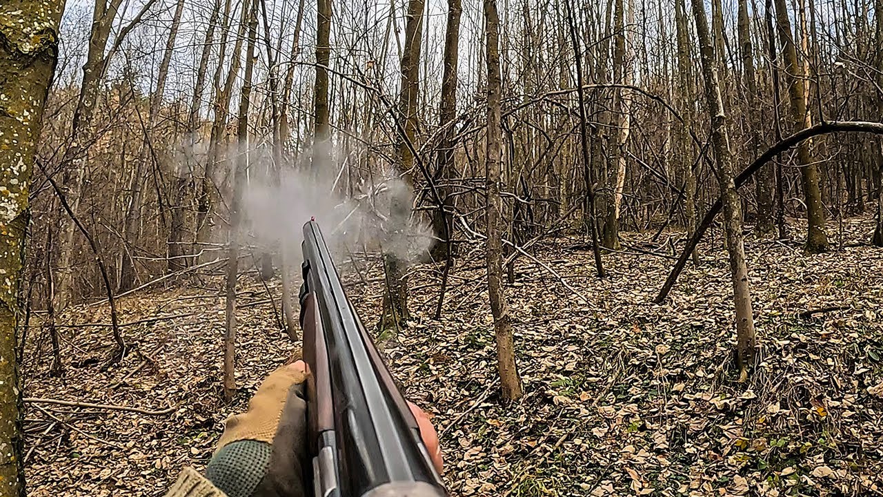 La regina che annuncia la neve  #woodcock #beccaccia #Hunting woodcock  4K video