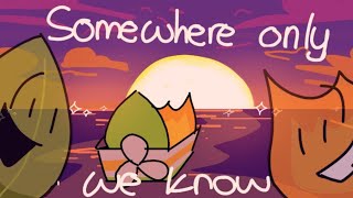 Somewhere Only We Know (BFB 30 Firey Leafy PMV)