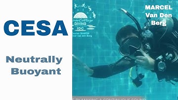 CESA Controlled Emergency Swimming Ascent - Neutrally Buoyant • IDC Divemaster Skill Circuit