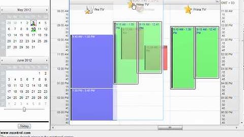 Exontrol ExSchedule - First Look