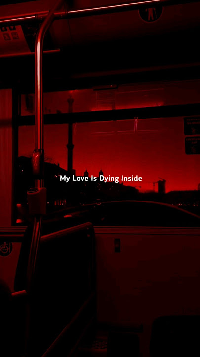 One Kiss x Stereo Love | Dua lipa x Edward Maya | #shorts