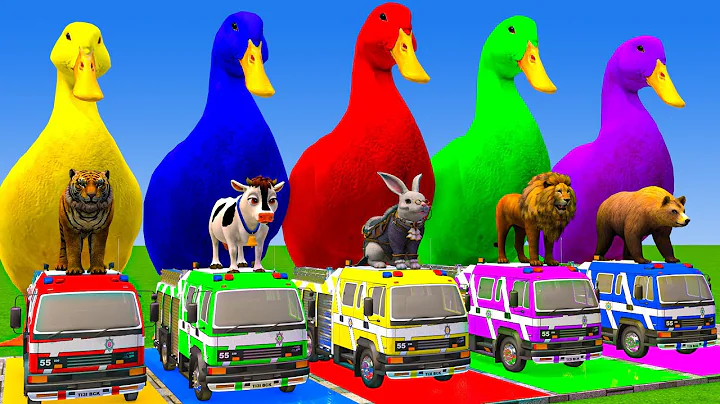 5 Giant Duck Cartoon,Cow,Elephant,Tiger,Lion,Dinosaur,Paint Wild Animals Crossing Fountain Animation thumbnail