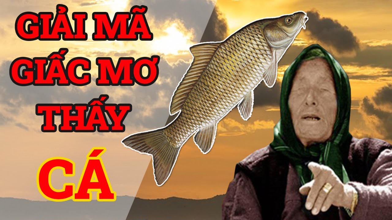 Ý nghĩa của việc mơ thấy câu cá