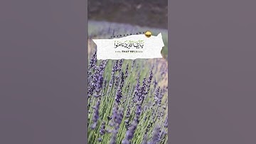 الآية 56 من سورة الأحزاب ll إِنَّ اللَّهَ وَمَلَائِكَتَهُ يُصَلُّونَ عَلَى النَّبِيِّ ۚ