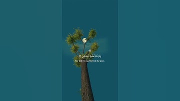 أرح سمعك 🥀القارئ: شريف مصطفى 🍃حالات واتس آب🌹  ❤تلاوة عطره بصوت عذب وجميل ورائع وهادئ 💙