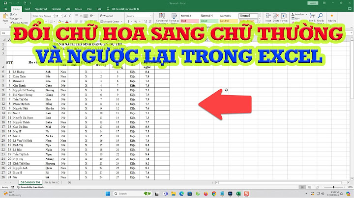 Lỗi định dạng chữ hoa chữ thường trong excel năm 2024