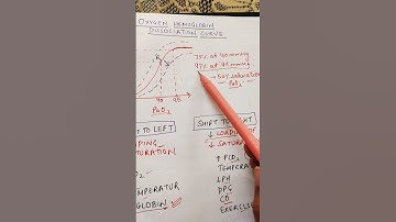 Oxy Hb dissociation curve#shorts #physiology #mbbs