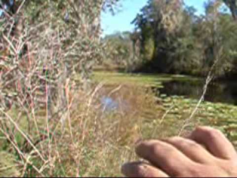 riverdale Oxbow Lake Incident