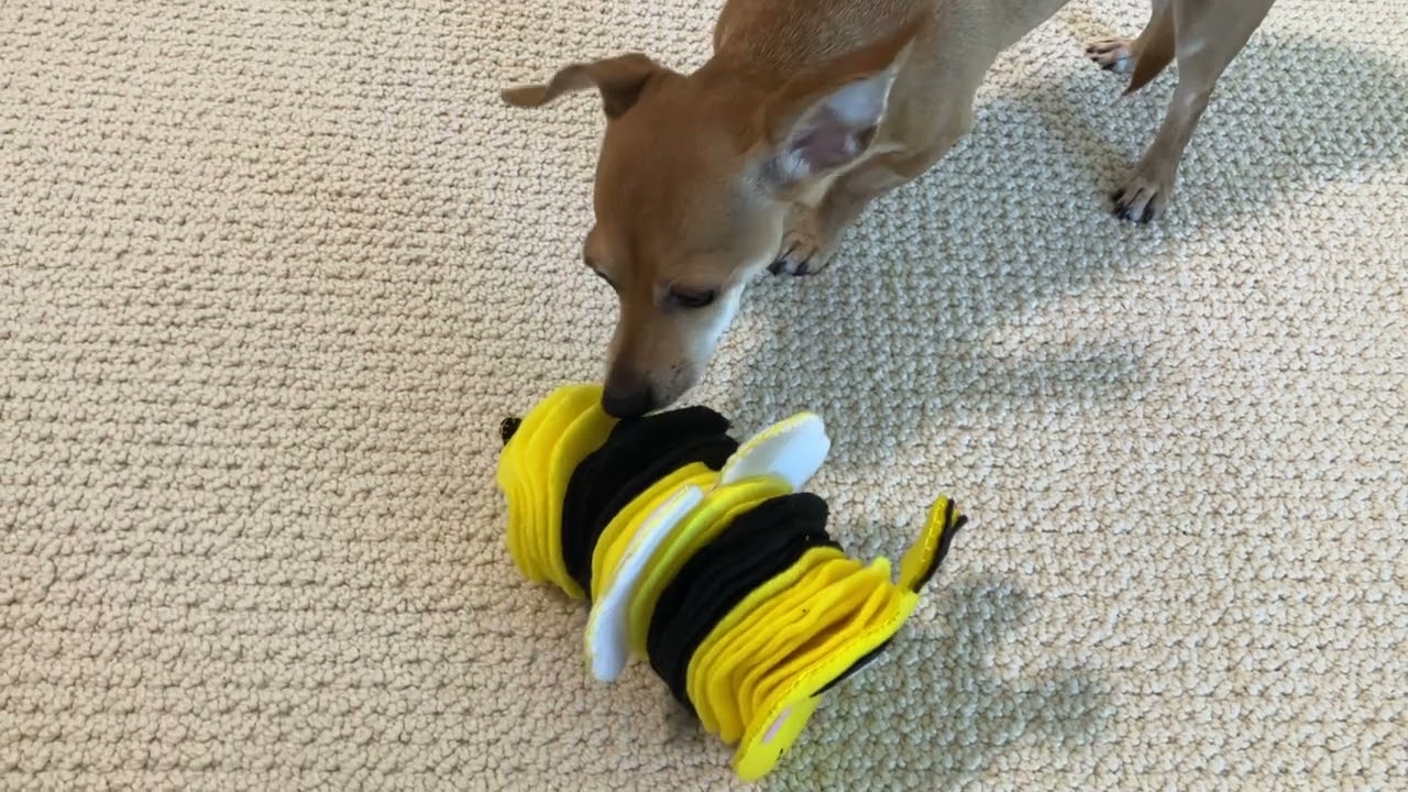 Hound Hugger DIY Busy Bee Snuffle Pattern Kit