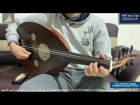 اهو ده اللي صار Oud بريشة محمد البرماوي عود صناعة محمود داغر تسلسل C1273