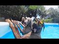 It's A Dog Party, It's A Dog Pool Party! | Funny Animal Compilation