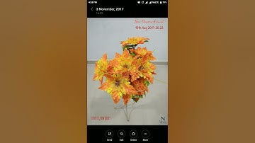 Add Text and Timestamp to your Saved Gallery Photos - Auto Stamper