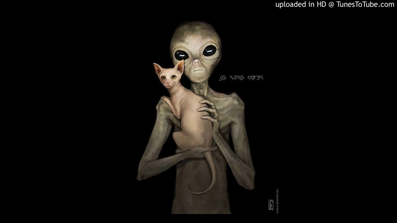 зона 51 интервью с пришельцем. допрос гуманоида зона 51. интервью с пришельцем. книга интервью с пришельцем. допрос инопланетянина в зоне 51.