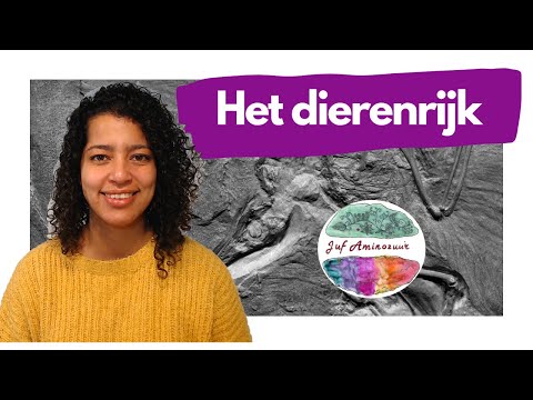 Het dierenrijk: indeling in 8 afdelingen