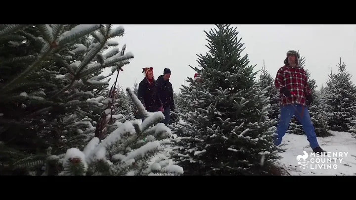 Christmas Tree Farms • McHenry County