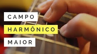 MAJOR HARMONIC FIELD