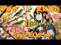 Sony RX10m4 in 4K: 武田神社のメジロ鳥、甲府市・山梨県。Warbling white-eye birds in Takeda shrine, Kofu, Yamanashi.